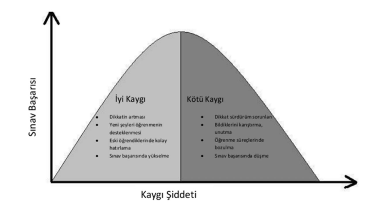 Ekran Resmi 2020-08-27 15.56.51 (1)